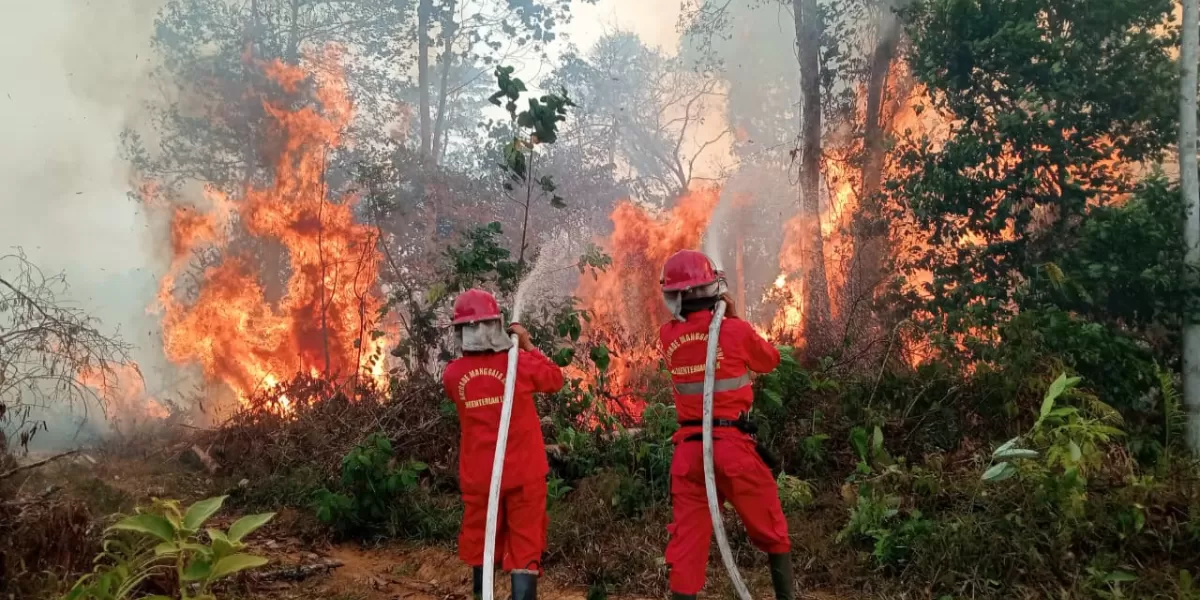 Pemerintah prioritaskan enam provinsi untuk penanganan karhutla dan mengandalkan operasi darat dalam penanganannya. (Instagram.com/@kementhut)