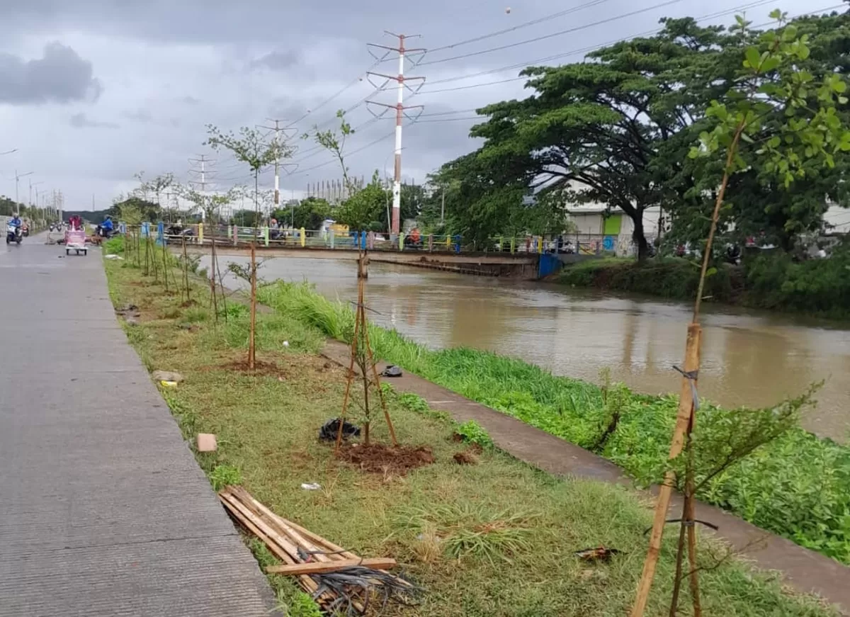 Gerakan 'Banten Teduh, Tangerang Sejuk' Tanam 5.000 Pohon di wilayah Kota Tangerang dan Kabupaten Tangerang.