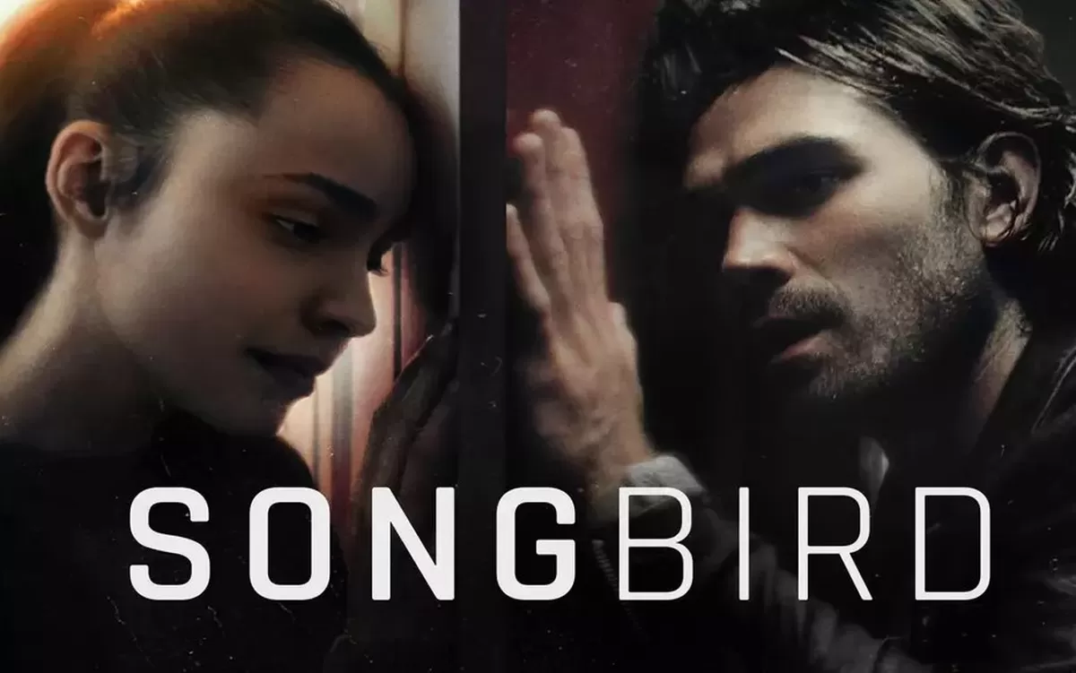Songbird (berbagai sumber)