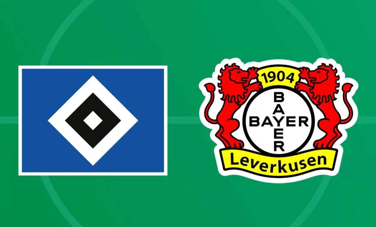 Hamburger SV Vs Bayer Leverkusen (berbagai sumber)