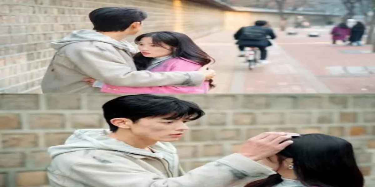 Perbandingan No Tail to Tell dengan Pro Bono, Drama Sunyi yang Sama-Sama Menampar Hati (SBS )