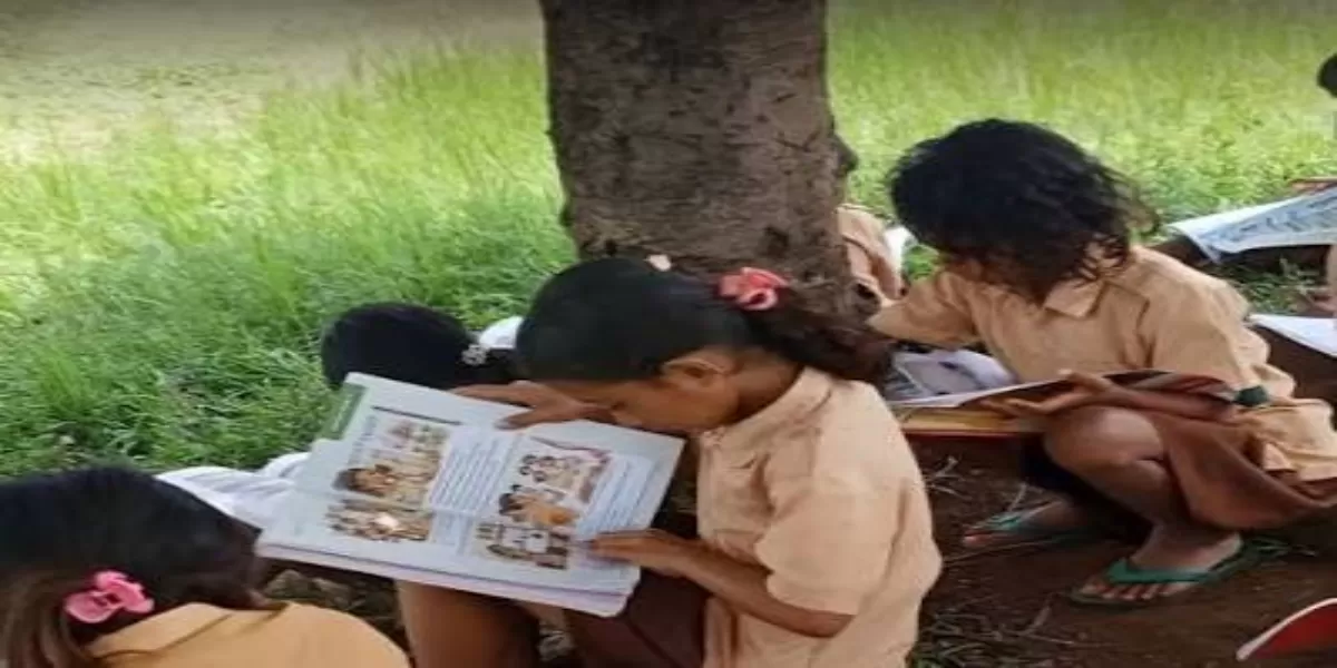 6 Fakta Viral Siswa SDN Tando Manggarai Barat Belajar di Bawah Pohon Karena Kekurangan Ruang Kelas, Potret Kesenjangan Pendidikan (Viral siswa SDN Tando, Manggarai Barat belajar di luar kelas karena tidak punya ruangan. (TikTok/karlosdurman))