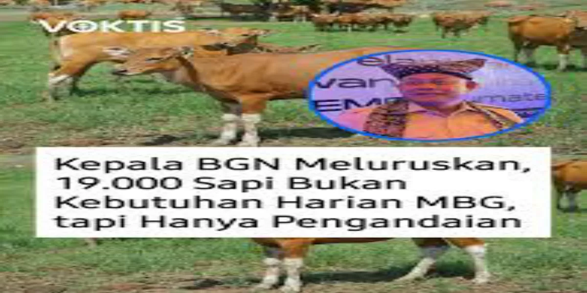 Klarifikasi BGN Soal 19.000 Sapi untuk MBG, Ternyata Hanya Pengandaian Perhitungan (Kepala BGN Dadan Hindayana klarifikasi tentang 19.000 ekor sapi per hari untuk MBG. (BGN))