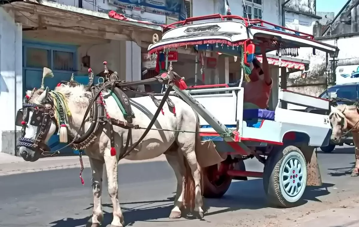 tampilan moda transportasi Cidomo (flickr)
