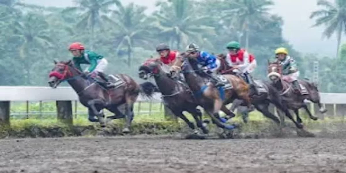 147 Kuda dari 12 Daerah Ramaikan IHR 2026 di Semarang, Hadiah Capai Rp600 Juta