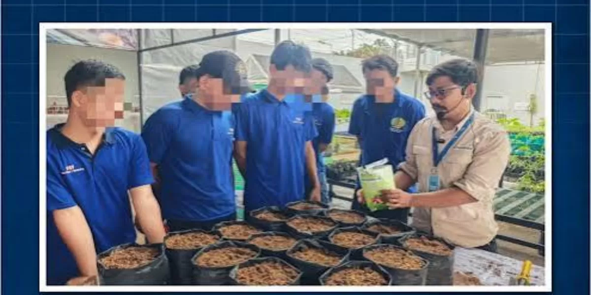 Program Pembinaan Lapas Semarang Ajarkan Teknik Budidaya Sayur kepada Napi Lewat Praktik Langsung (Instagram @lapassemarang)