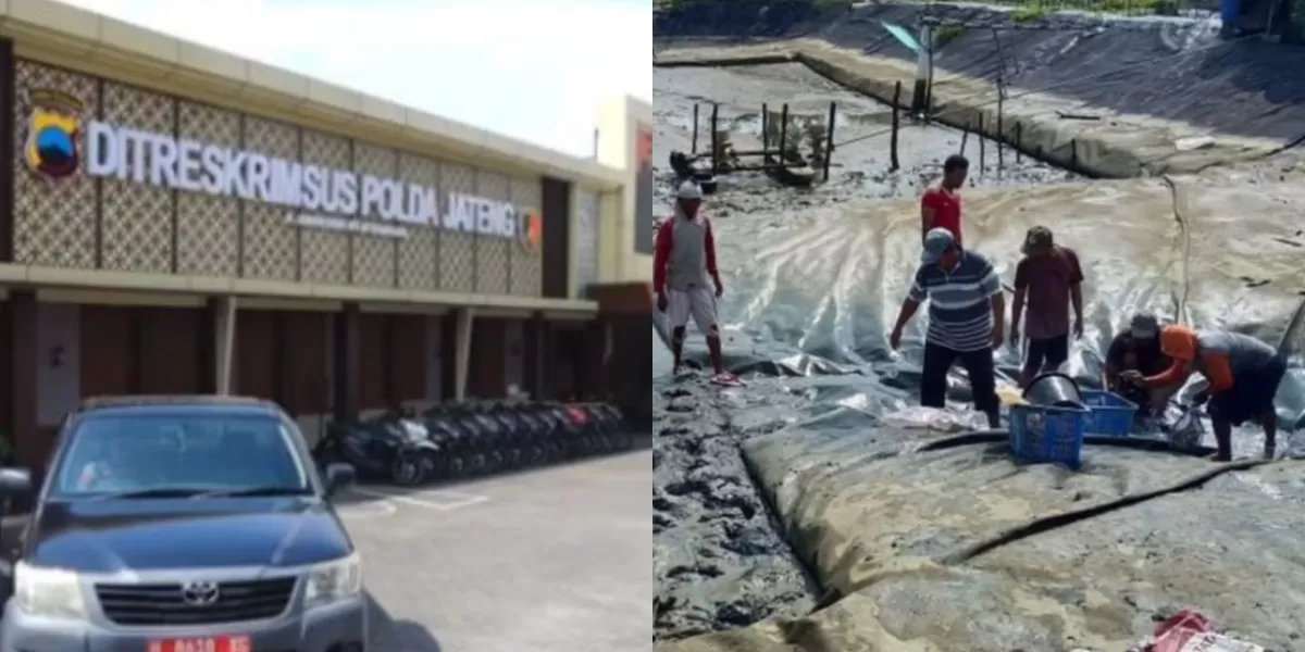 Viral Warga Batang Ubah Sawah Jadi Tambak Udang, Polisi Sebut Kerugian Negara Capai Puluhan Miliar (Menyoroti kasus alih fungsi lahan sawah menjadi tambak udang di wilayah Batang, Jawa Tengah yang tengah ramai disorot warga medsos. (Instagram.com/@undercover.id))