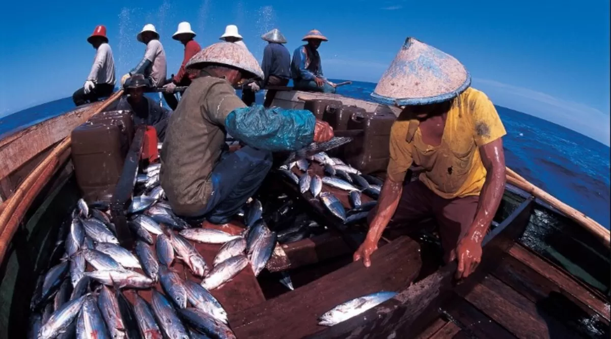Ilustrasi Nelayan di Laut (info maritim)