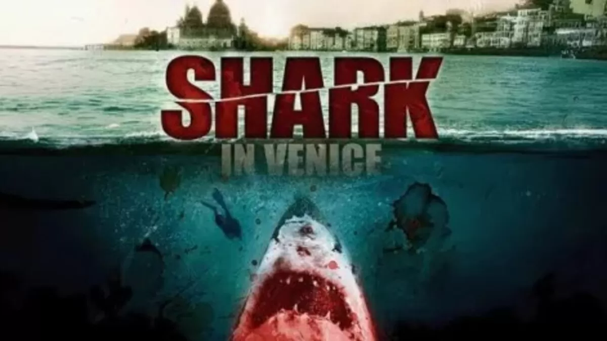 Shark in Venice (tivie)