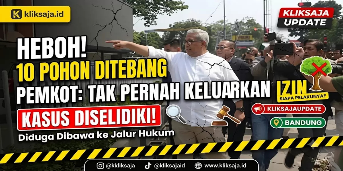 Penebangan Pohon di Jalan LLRE Martadinata Bandung Diselidiki, Pemkot Sebut Tak Pernah Keluarkan Izin