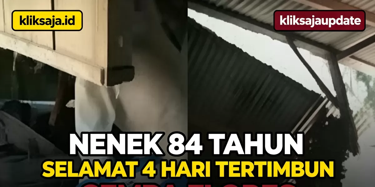 Nenek 84 Tahun Selamat Setelah 4 Hari Tertimbun Reruntuhan Gempa Flores, Keluarga Sempat Mengira Paulina Pobi Sudah Dievakuasi (Menyoroti insiden seorang nenek 84 tahun yang bertahan selama 4 hari dari reruntuhan akibat gempa yang melanda NTT. Berikut ini kisahnya. (Instagram.com/@bmh_jatim))