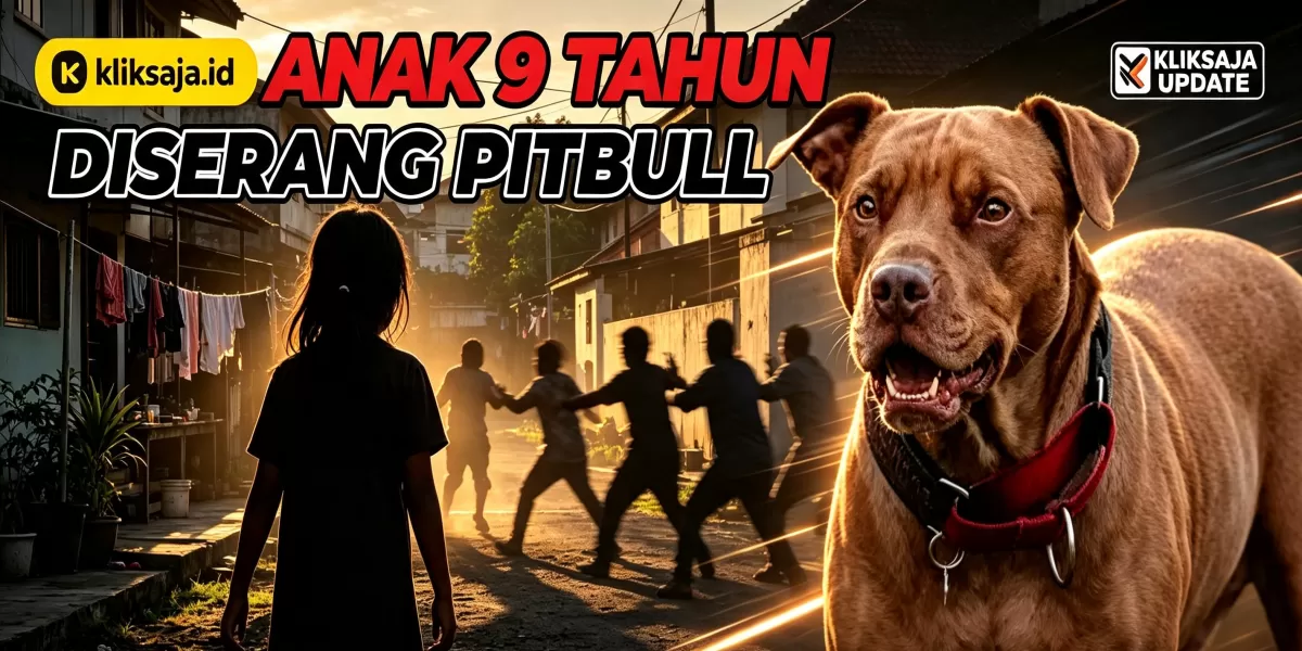 Kronologi Anak 9 Tahun Diserang Pitbull di Bandung 23 Agustus 2026, Anjing Lepas Saat Dijemur hingga Korban Jalani Operasi (Foto ilustrasi: Kasus anjing pitbull menyerang seorang anak di Kabupaten Bandung hingga sebabkan luka parah. (Unsplash/carolineziem))