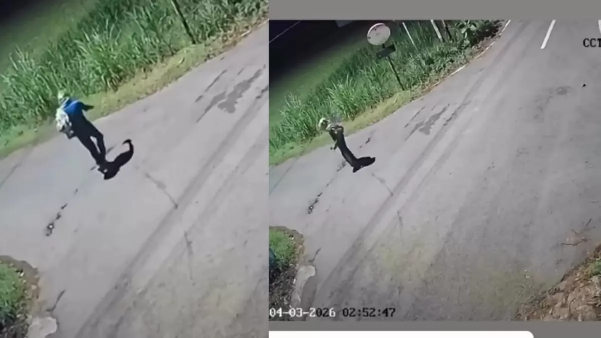 Viral Aksi mencurigakan warga saat dini hari di Jalan Imogiri, Bantul, Yogyakarta. (Instagram/merapi_uncover)