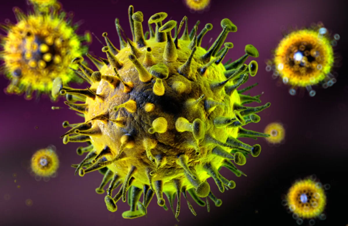 Ilustrasi Virus (Foto : Harvard Medical School)