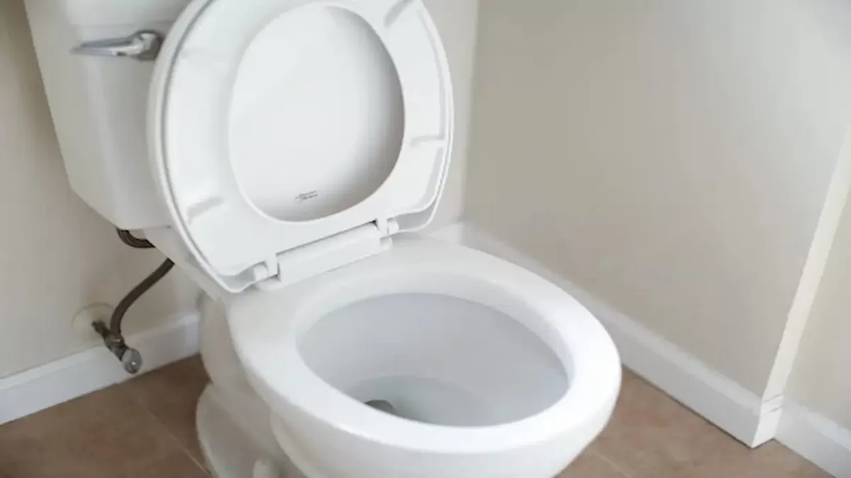 Ilustrasi - Kebiasaan Main Ponsel di Toilet Bisa Picu Wasir, Dokter Ingatkan Bahaya Duduk Terlalu Lama (Istimewa)