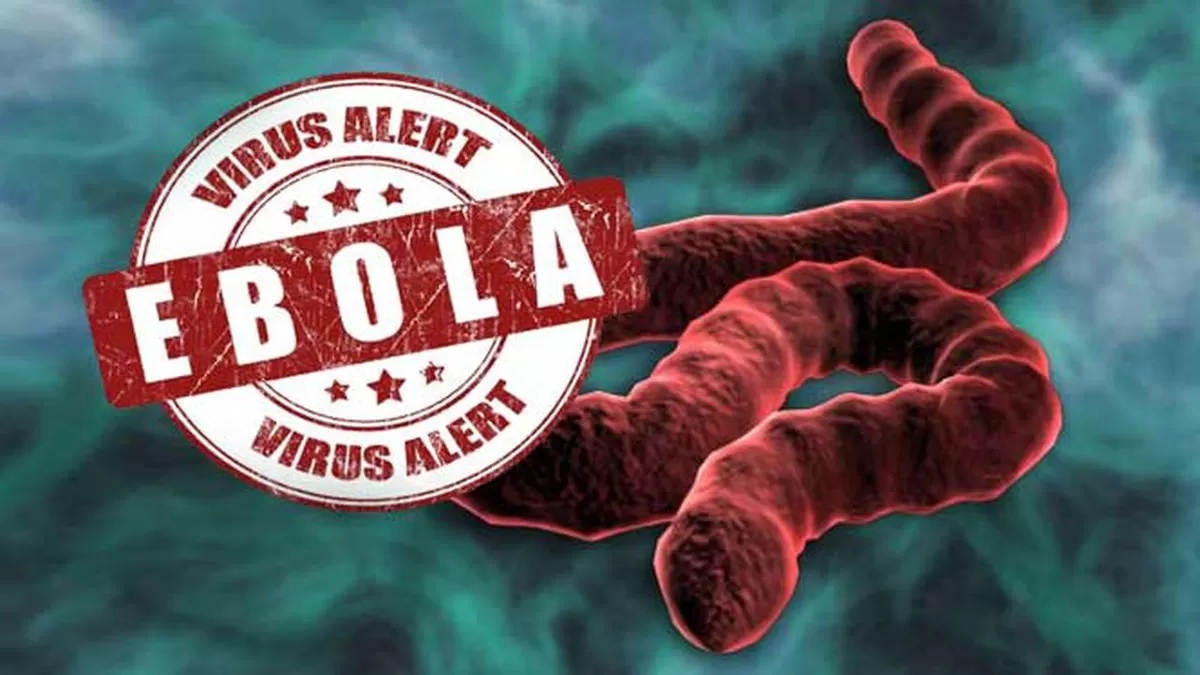 Ilustrasi - Status Darurat Global Ditetapkan WHO, Wabah Ebola di Afrika Jadi Perhatian Dunia (Istimewa )