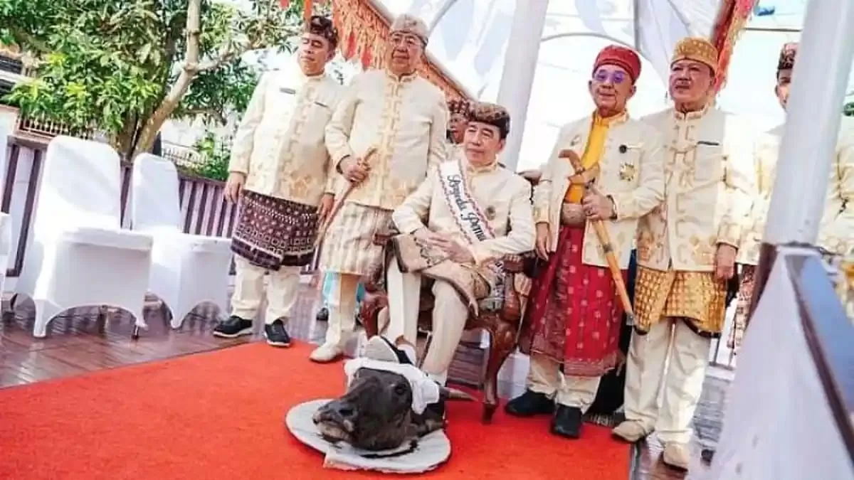 Viral Jokowi Injak Kepala Kerbau, PSI: Itu Tradisi Adat Lampung, Bukan Bentuk Keangkuhan (Istimewa)