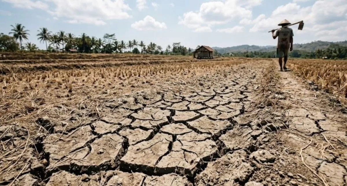 Mendagri Tito Karnavian Minta Kepala Daerah Siaga Hadapi El Nino 2026, Antisipasi Karhutla hingga Krisis Air (Istimewa)