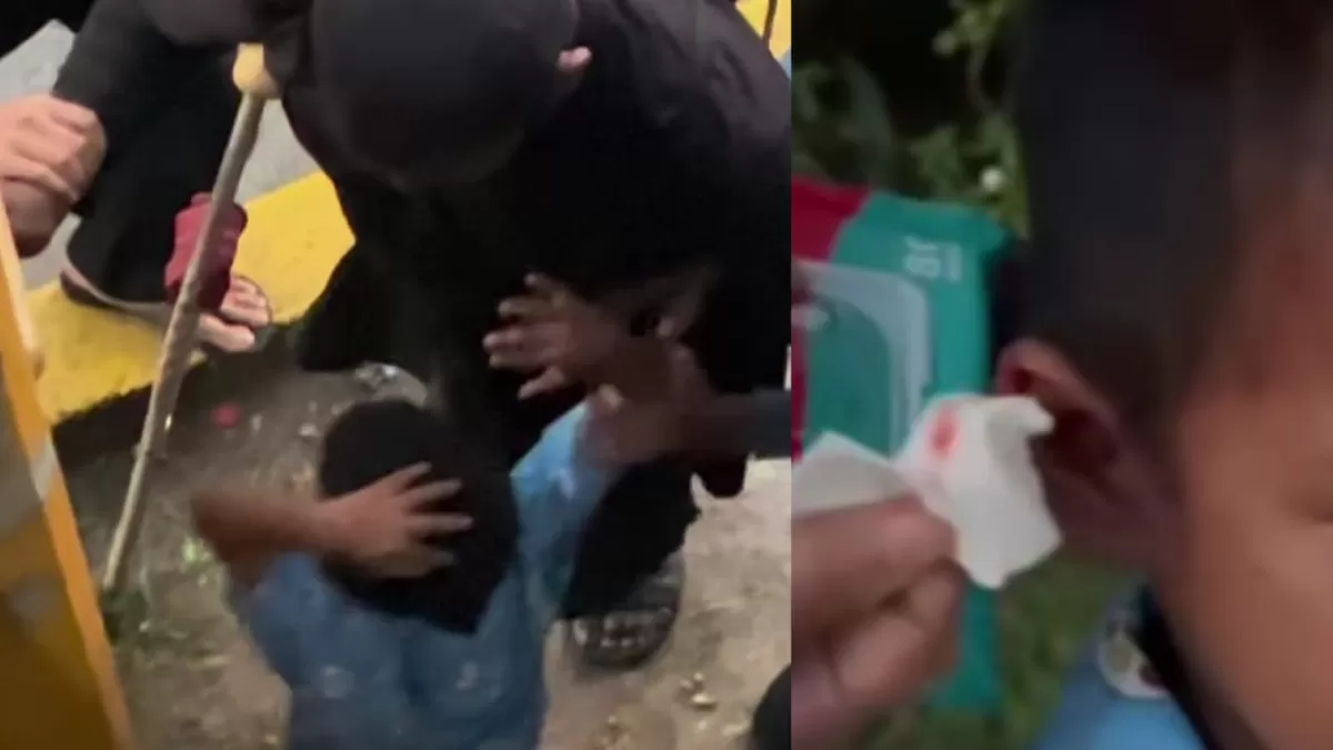 Video Ayah Asuh Aniaya Anak di JPO Depok (Dok. Instagram/dinipuspitar)
