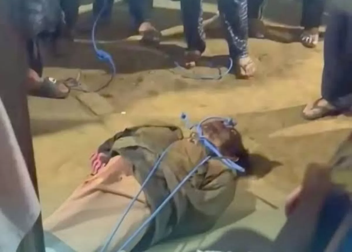 Diduga Curi Ayam Aduan, Pria di Bali Tewas Dikeroyok Massa,l (Istimewa)