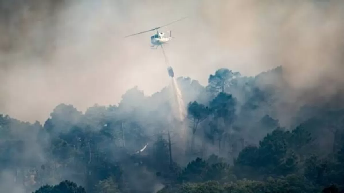 Kebakaran di Hutan Prancis akibat Ledakan Amunisi Perang Dunia II (Dok. Anadolu Ajansi)