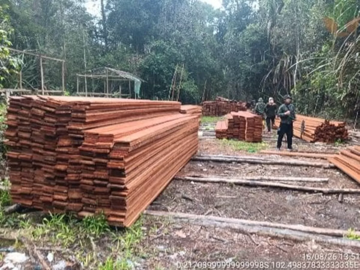 Patroli Karhutla Buahkan Hasil, Praktik Pembalakan Liar di Hutan Konservasi Riau Terbongkar (Istimewa)
