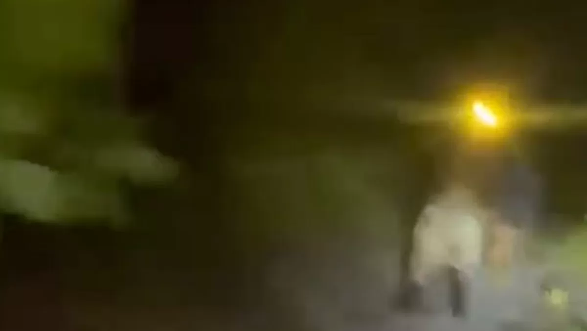Cuplikan video viral bocah yang merekam pria dengan senter di lokasi karhutla  (Istimewa.)
