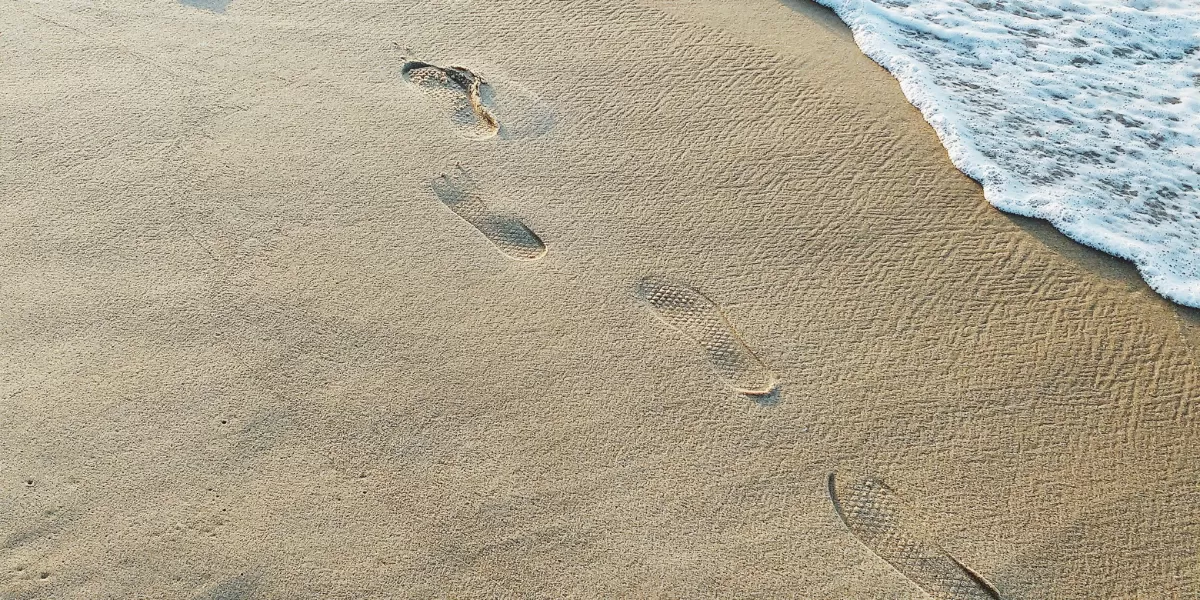Ilustrasi pantai di Banyuwangi  (Pexels/brenoanp)