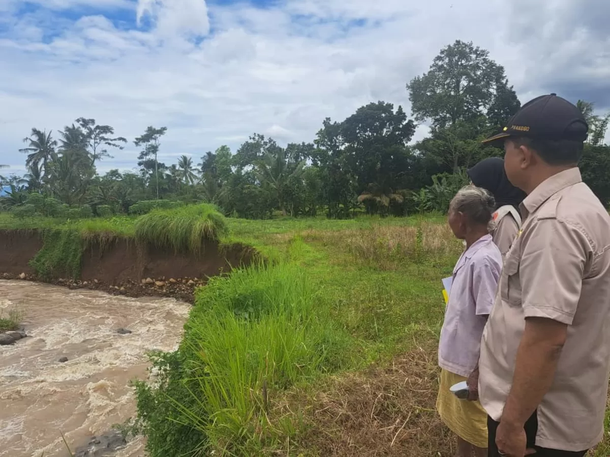 Tim BPBD Jember sedang mengecek tanggul yang rusak. (Dok BPBD Jember)
