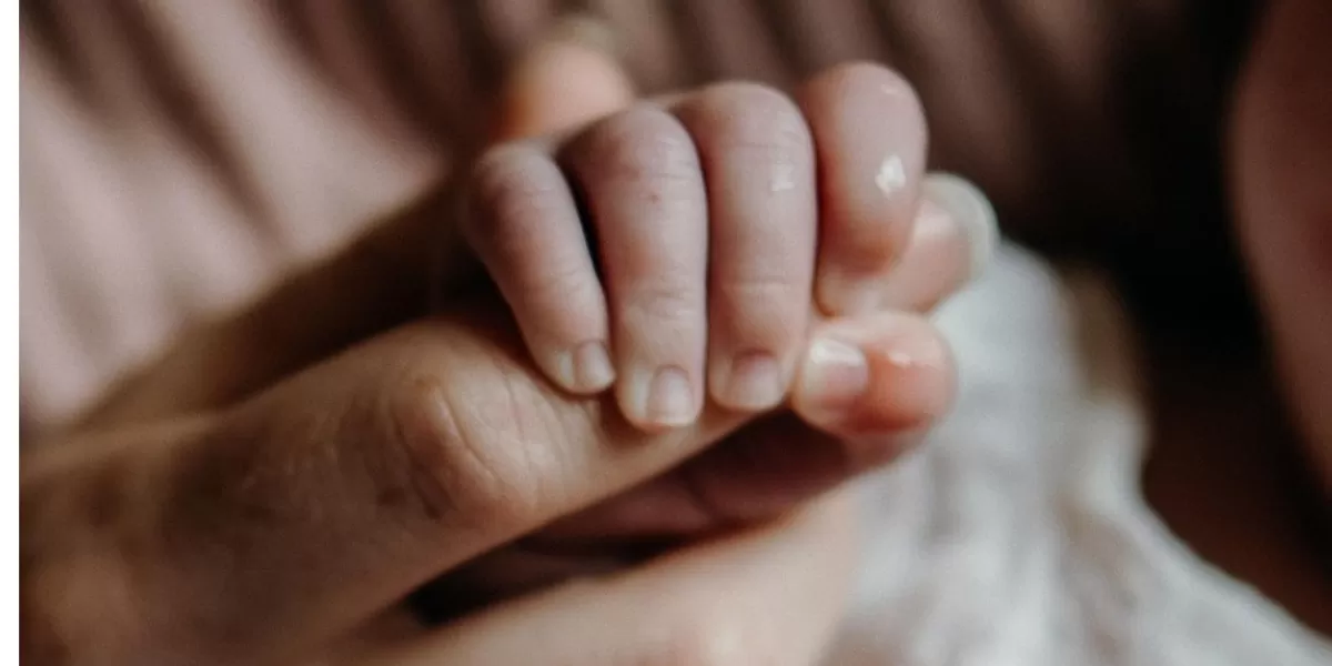 Ilustrasi mudik aman  bersama bayi (Pixabay iriswillow)