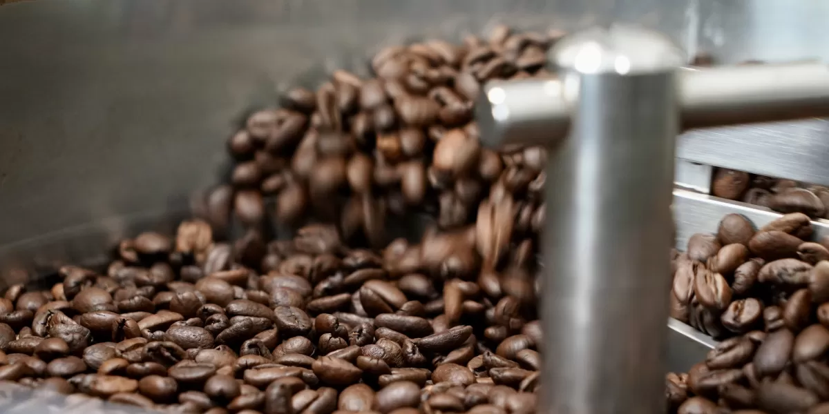 :Biji kopi yang baru dipanggang menyimpan aroma dan karakter rasa yang berbeda tergantung jenis, proses, dan teknik penyeduhan.  (X/senncoin)
