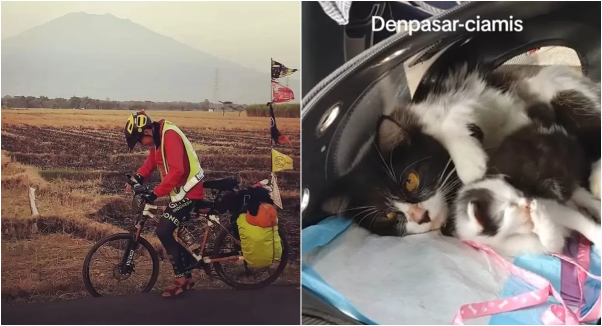 Potret gowes mudik hingga momen menggemaskan pulang kampung lintas pulau bawa anabul saat momen Lebaran 2026 (TikTok/kang_gowes/saep_hartono)