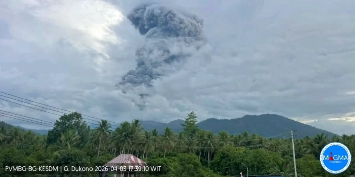 Penampakan Gunung Dukono saat meletus pada Jumat sore, 3 April 2026 (magma.esdm.go.id)