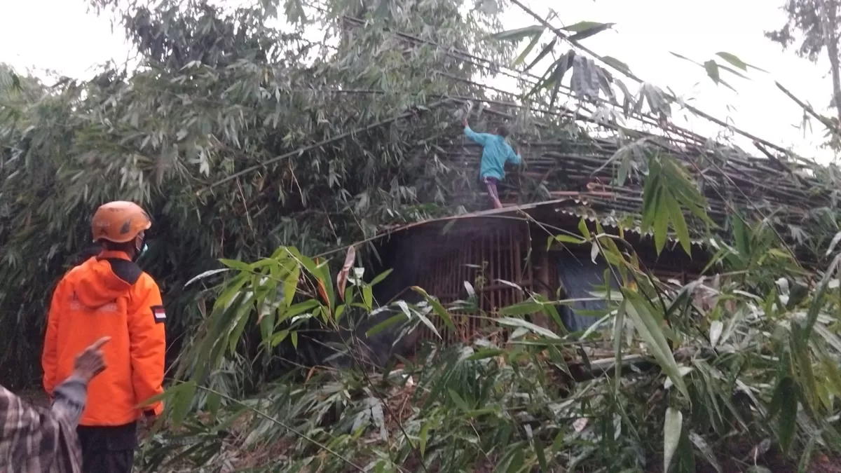 Petugas BPBD saat melakukan pembersihan. (Dok BPBD Jember)