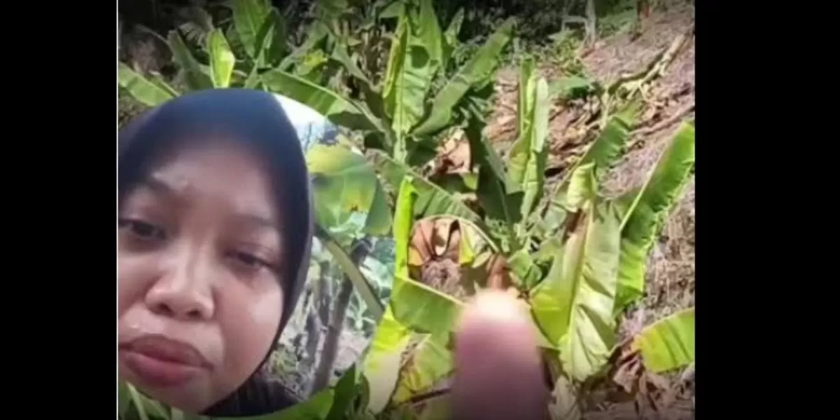 Siit Haliza dan kebun pisang yang mengering  (Tiktok @sitihaliza)
