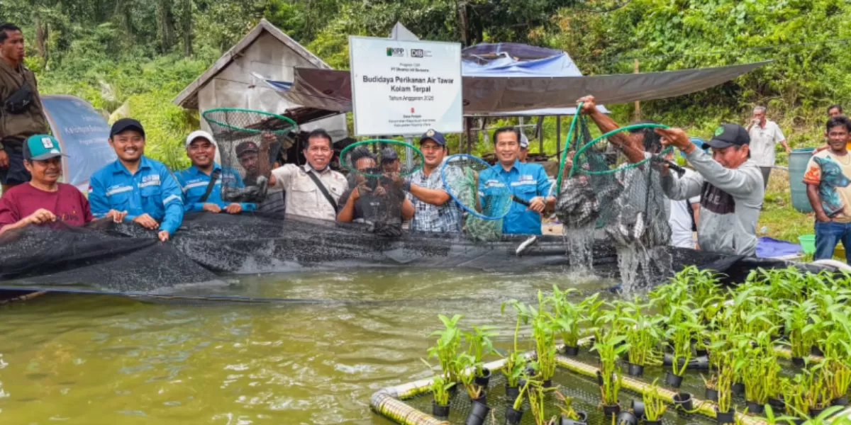 PSN di Pulau Penebang turut andil dalam pertumbuhan ekonomi di Kabupaten Kayong Utara. ( Dok. Kabupaten Kayong Utara)