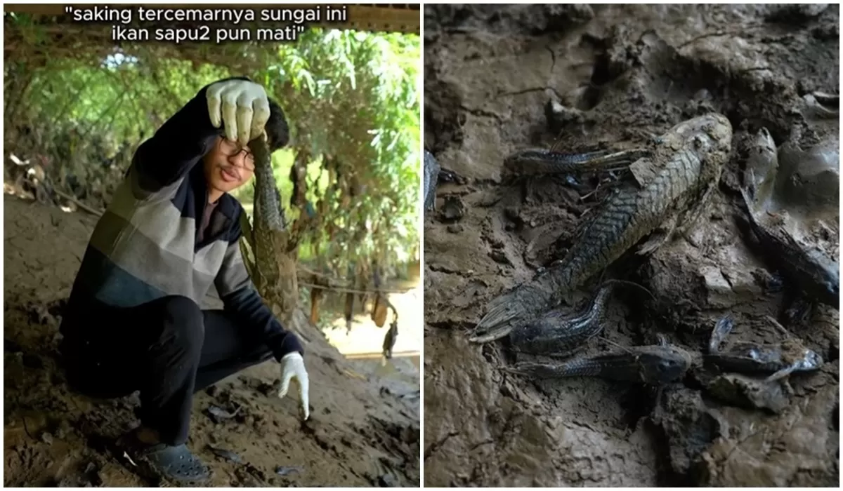 Pandawara tunjukkan ikan sapu-sapu mati di sekitaran sungai, ungkap fakta mengejutkan rusaknya ekosistem akibat pencemaran air yang terlalu parah  (Instagram @pandawaragroup)