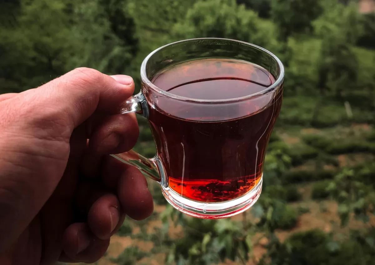 Ucapan Hari Teh Sedunia 21 Mei 2026. (Pexels.com/&Ouml;zer &Ouml;z&ccedil;elik)