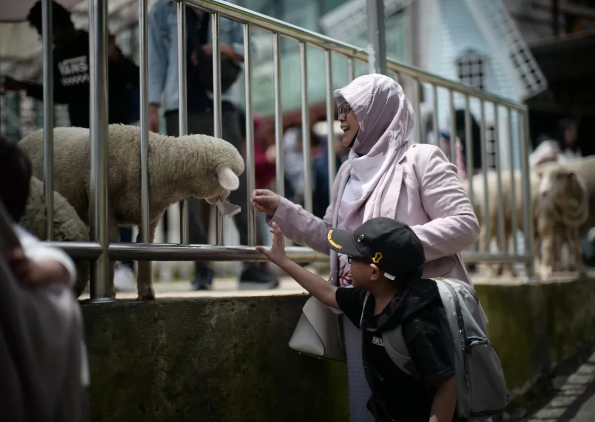 Ide kegiatan mengisi waktu libur Hari Raya Idul Adha 2026.  (Pexels.com/irwan zahuri)