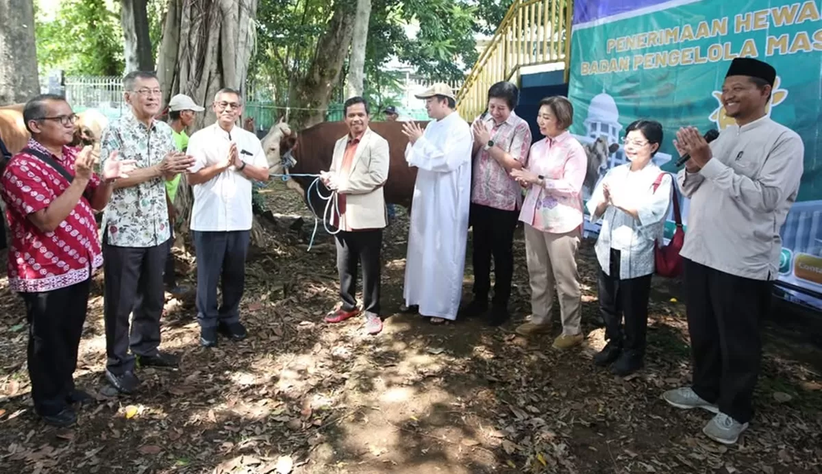 Potret Masjid Istiqlal terima sapi dari Gereja Katedral, sumbangan hewan kurban dari non muslim yang disembelih pada hari raya Idul Adha 2026 (Instagram/masjidistiqlal.official)