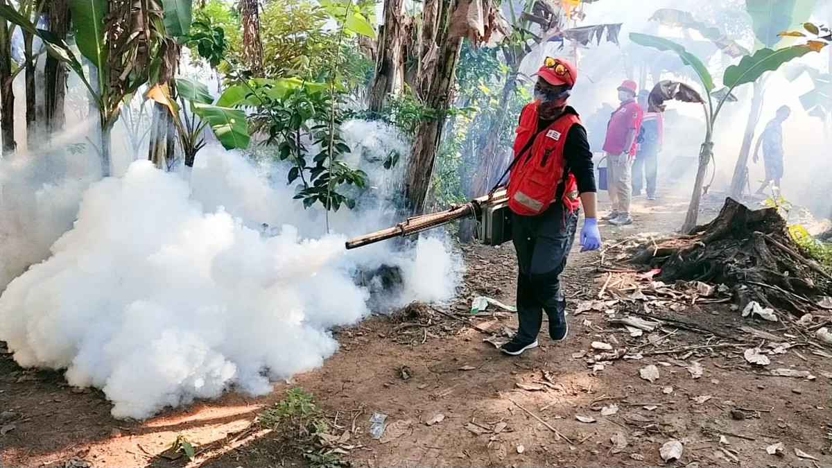 PMI Jember Terjunkan Relawan ke Selodakon, Fogging dan PSN Serentak Dilakukan untuk Lindungi Warga dari DBD (Dok. PMI Jember)