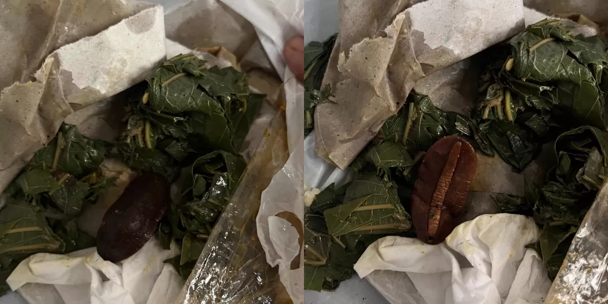 Kaget setengah mati! Orang ini mendapati ada hewan menjijikan yang diduga lintah di dalam nasi padang yang dibelinya secara online.  (Threads/nandde.s)