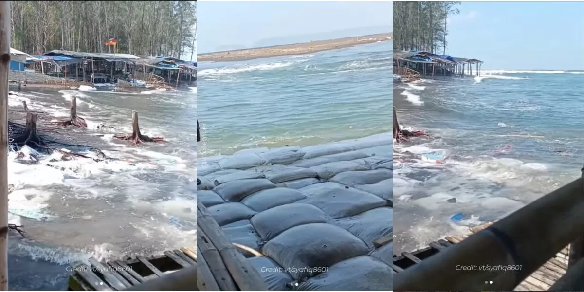 Kondisi Pantai Cemara Puger, Jember yang mengalami abrasi (Instagram/@infojember)