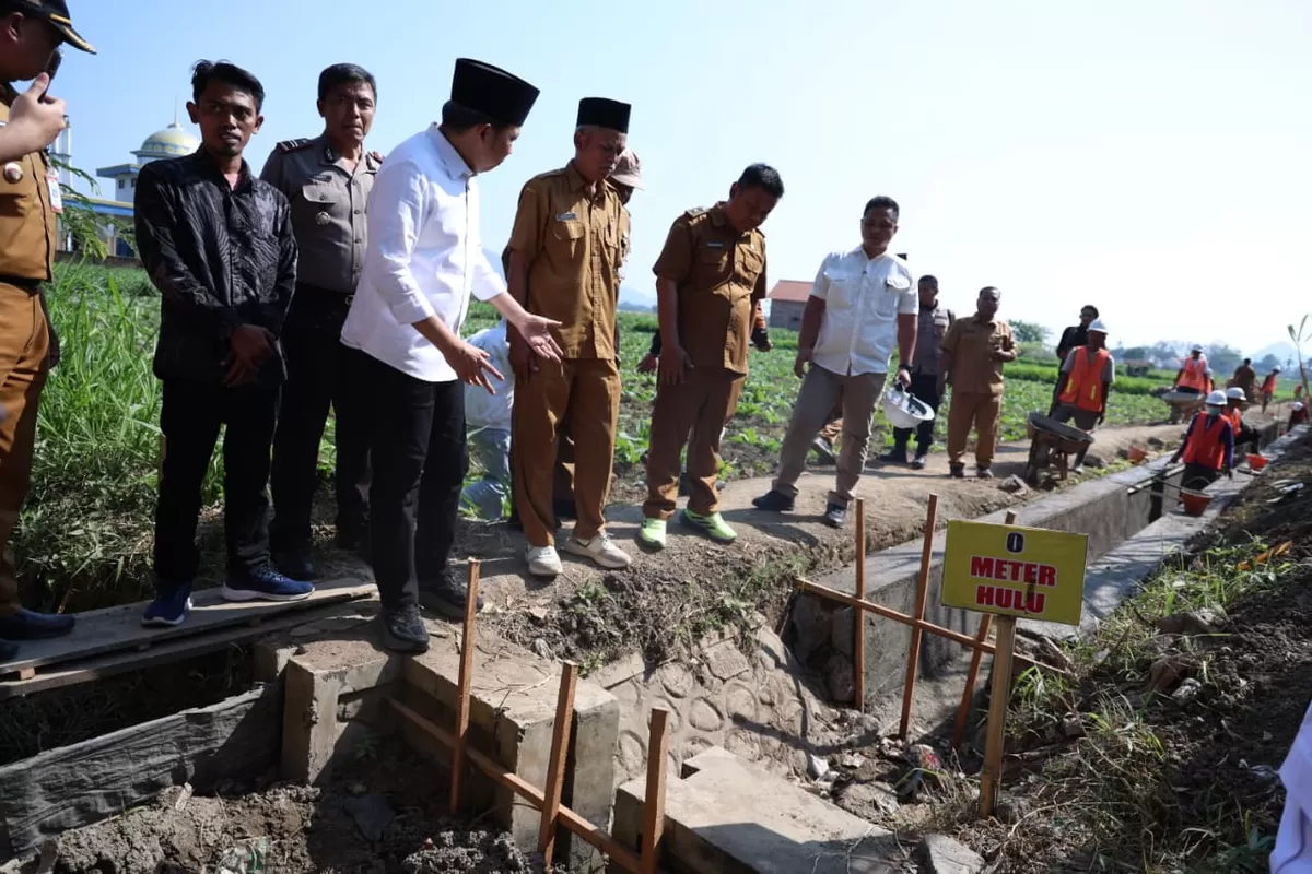 Bupati Jember Gus Fawait saat tinjau lokasi. (M Purnomo/SketsaNusantara.id)