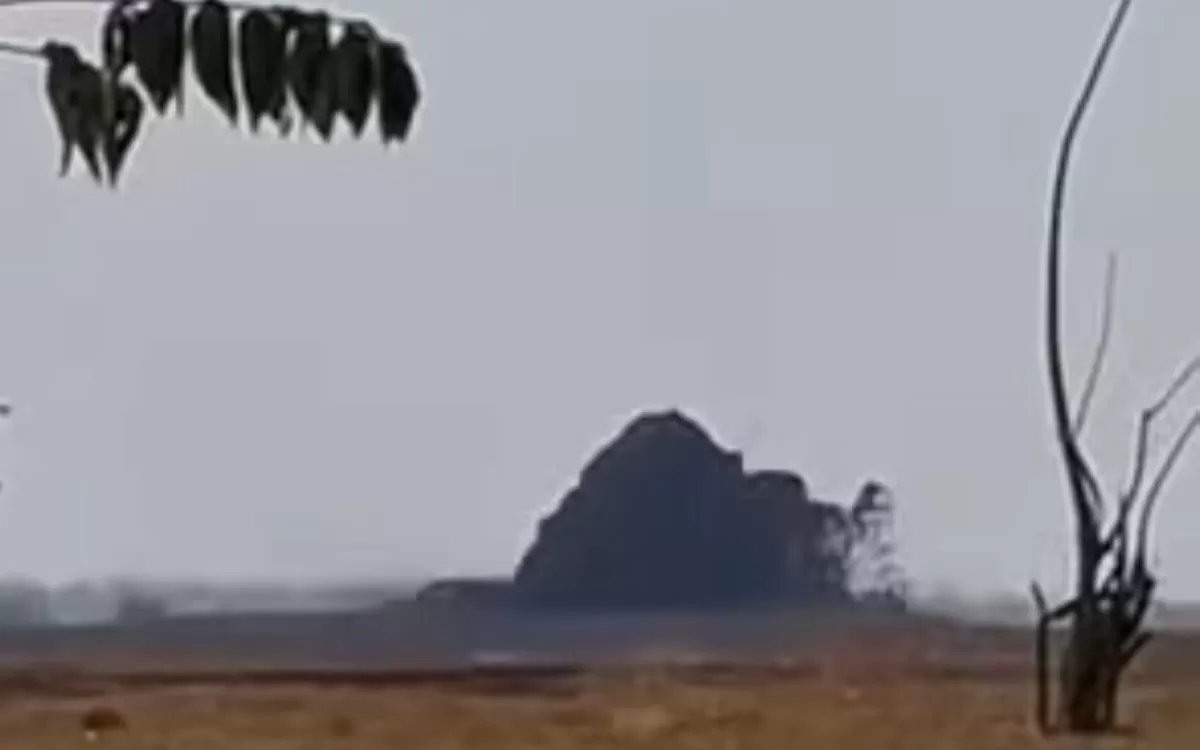 Penampakan semburan lumour di kawasan Oro-Oro Kesongo, Blora, Jawa Tengah yang memicu kekhawatiran karena mirip semburan lumpur Lapindo Sidoarjo (Instagram/daryono_edukator_kebencanaan)