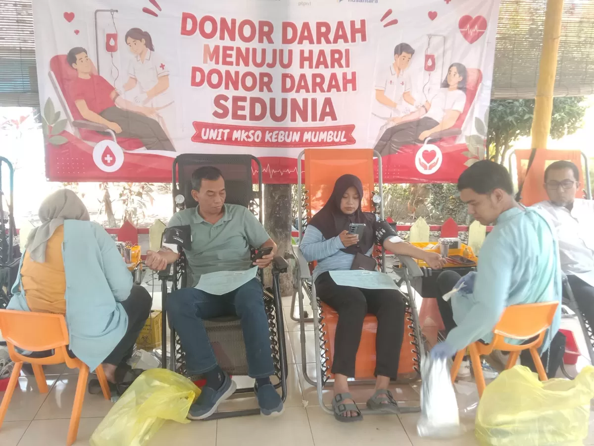 PTPN 1 Regional 5 Kebun Mumbul berkolaborasi dengan Unit Donor Darah PMI Kabupaten Jember menggelar aksi kemanusiaan donor darah.