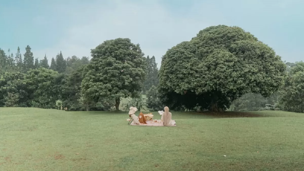 Sesar Lembang Kalcer salah satu tempat hype di Bandung (sesarlembangkalcer.com)