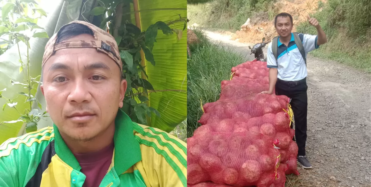 Suratno, guru MIM Jeruk Pacitan rela panen porang demi ongkos ke Jakarta (Ist)