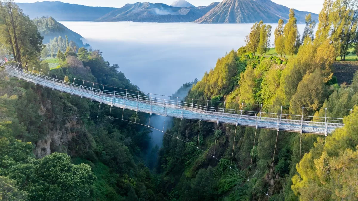 Jembatan Kaca Bromo siap jadi destinasi liburan pada musim libur sekolah 2026 (Ist)