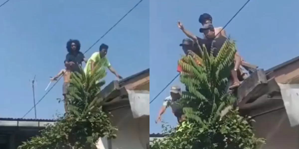 Menyoroti viralnya kasus pemerkosaan terhadap anak Kelas 4 SD oleh tetangganya di kawasan Cakung, Jakarta Timur. (X.com/@scrolltkp)
